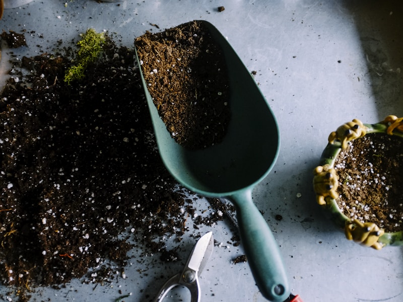 Potting soil, garden scoop, pruning shears, and small planter on a work surface