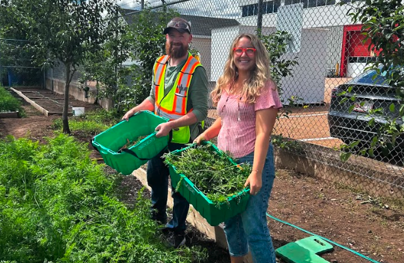 Two gardeners smile while carrying green bins filled with freshly harvested leafy greens.