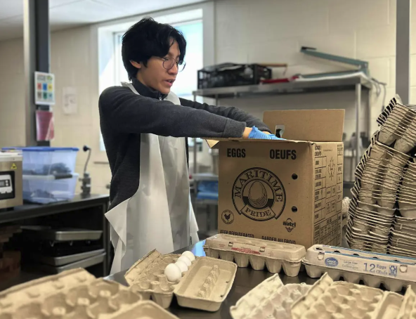 A volunteer wearing gloves packs cartons of eggs at a community food centre.